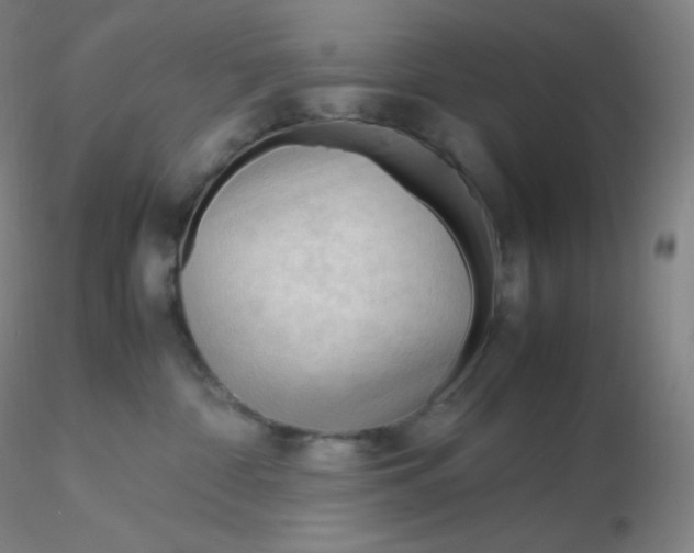 X0000116310332200912211928