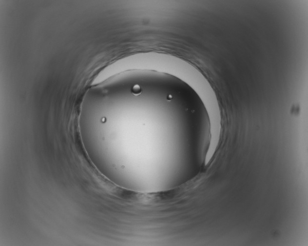 X0000116310333200912211928