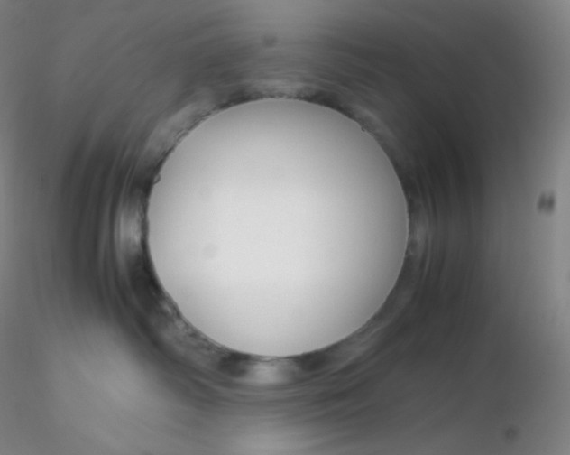 X0000116310334200912211928