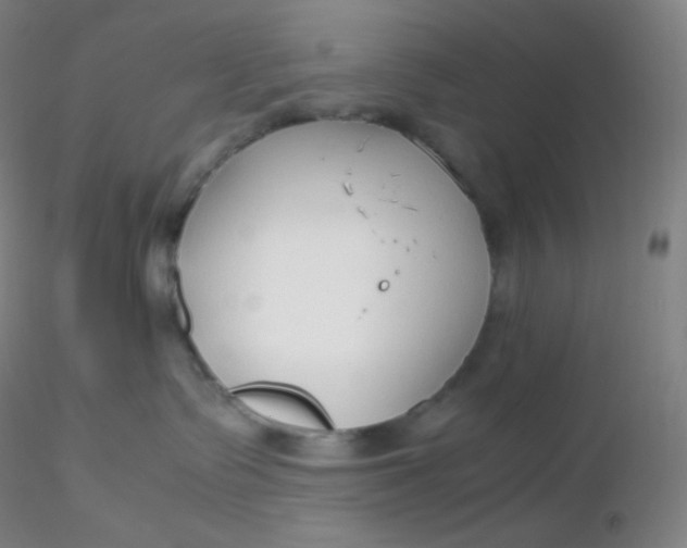 X0000116310335200912211928