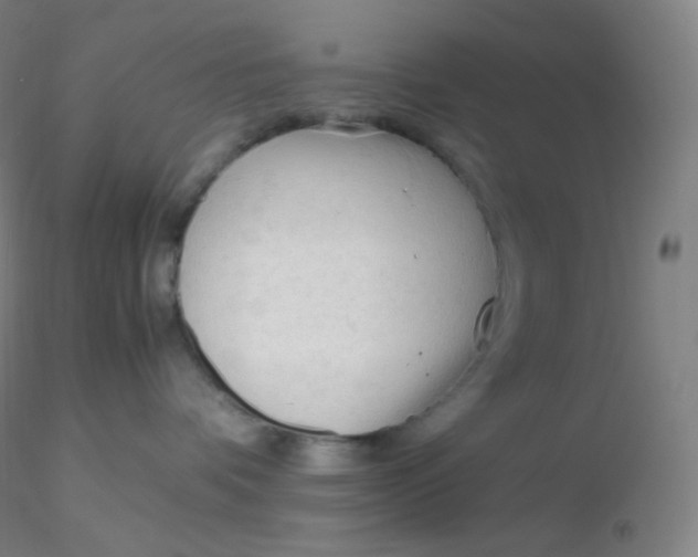 X0000116310336200912211928