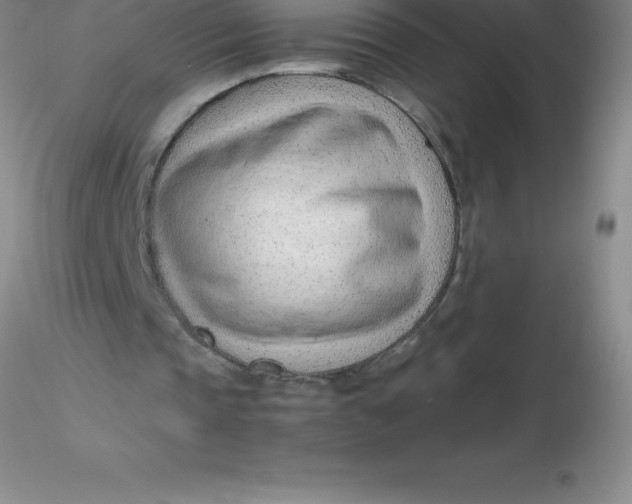 X0000116310337200912211927