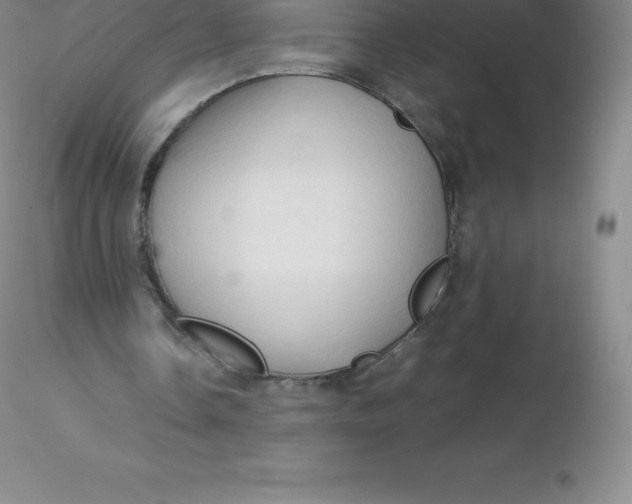 X0000116310338200912211927