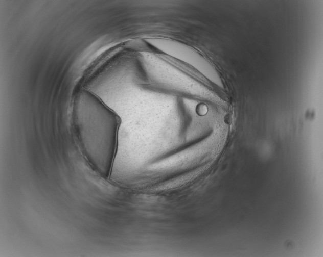 X0000116310339200912211927