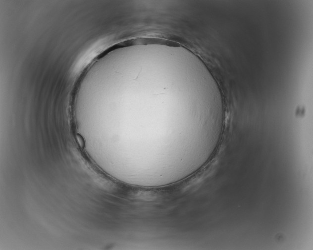 X0000116310341200912211927