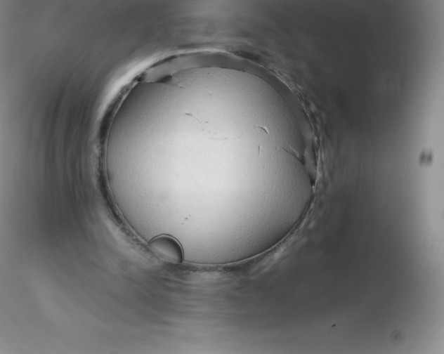 X0000116310342200912211927