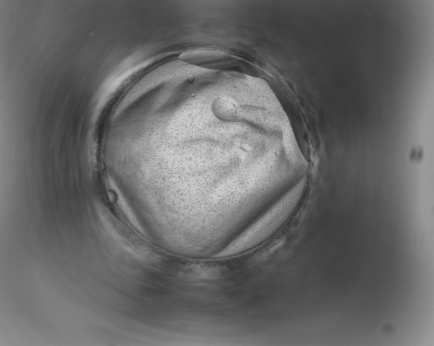 X0000116310343200912211927