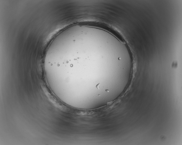 X0000116310345200912211927