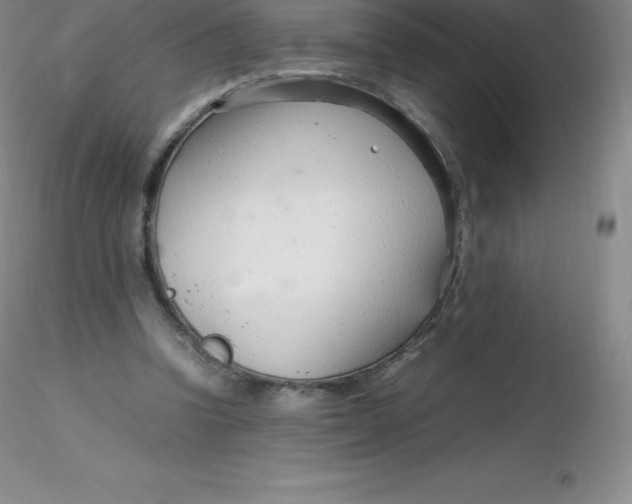 X0000116310346200912211927