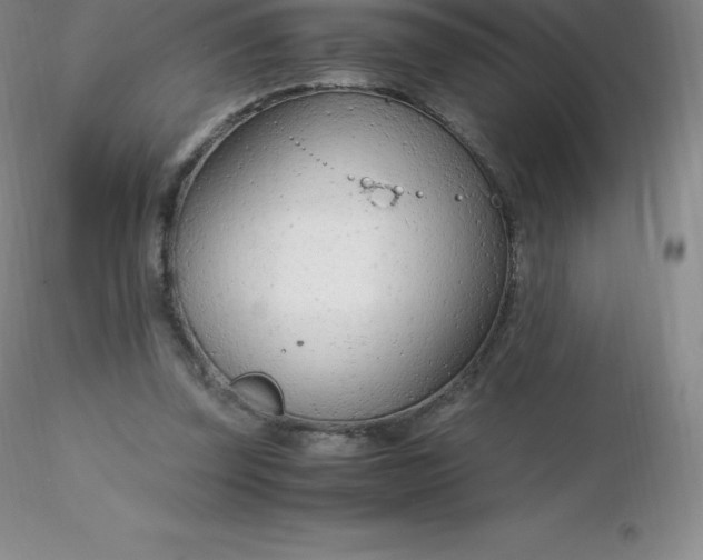 X0000116310347200912211927