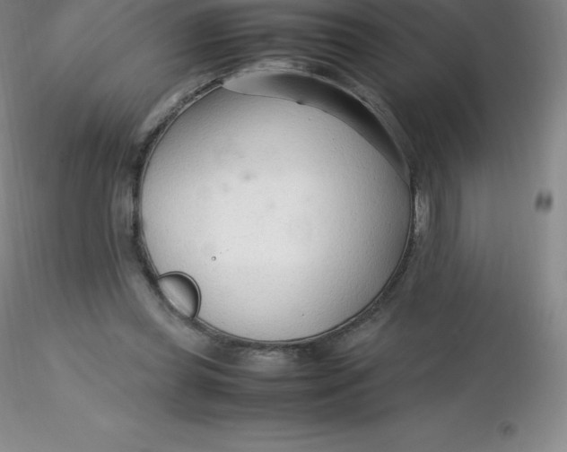 X0000116310349200912211927