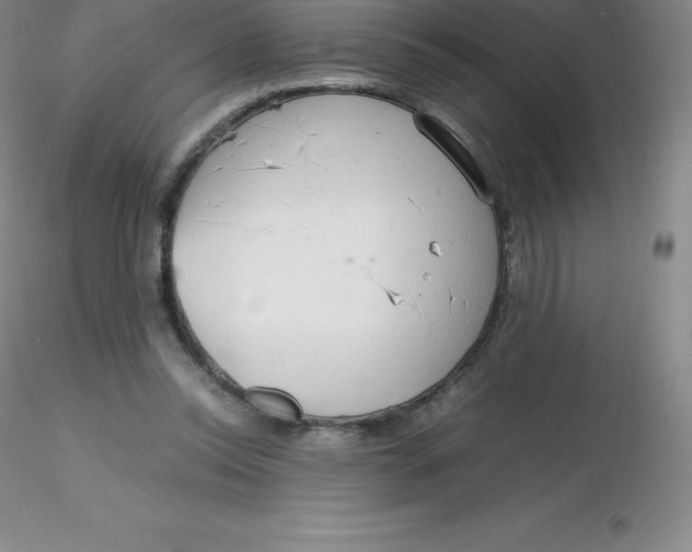 X0000116310350200912211927