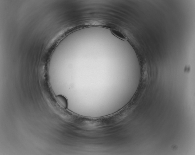 X0000116310351200912211927