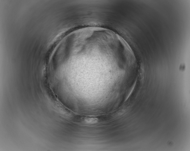 X0000116310355200912211927