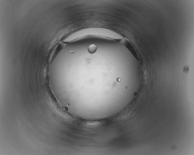 X0000116310357200912211927