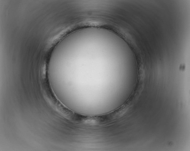 X0000116310358200912211927