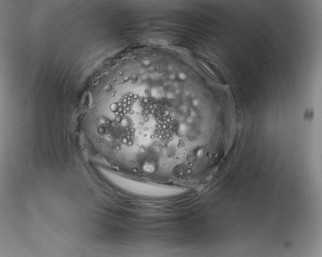 X0000116310359200912211927