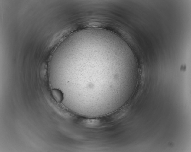 X0000116310361200912211927