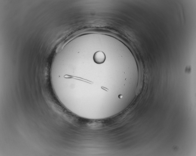 X0000116310362200912211927