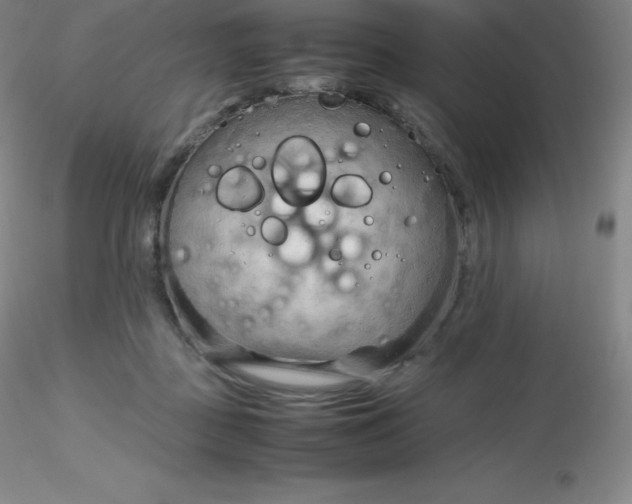 X0000116310363200912211927