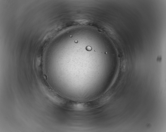 X0000116310365200912211927