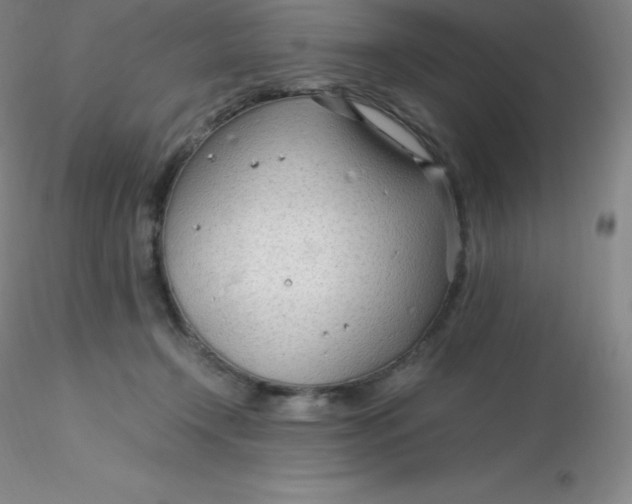 X0000116310366200912211927