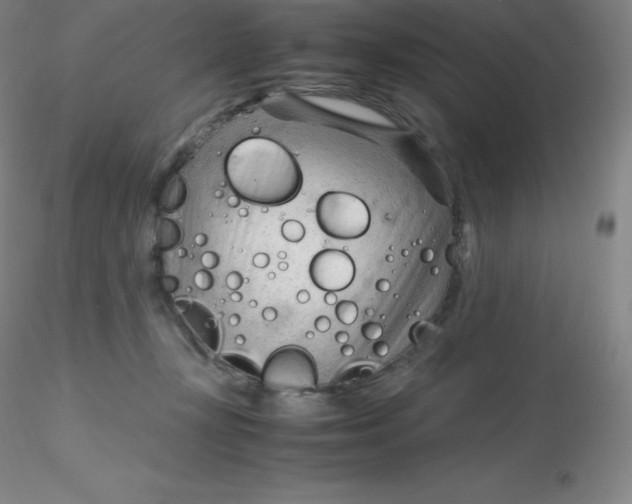 X0000116310367200912211927