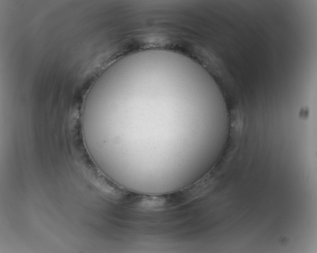 X0000116310369200912211927