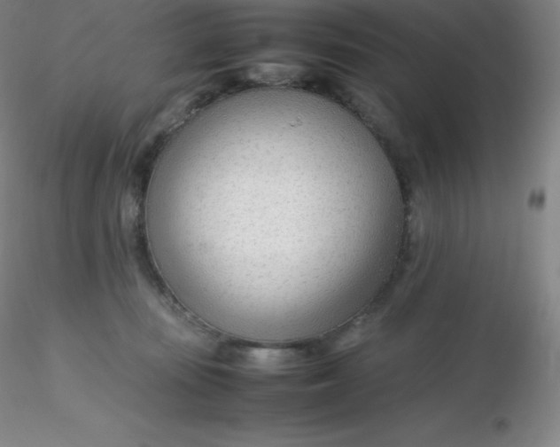 X0000116310371200912211927