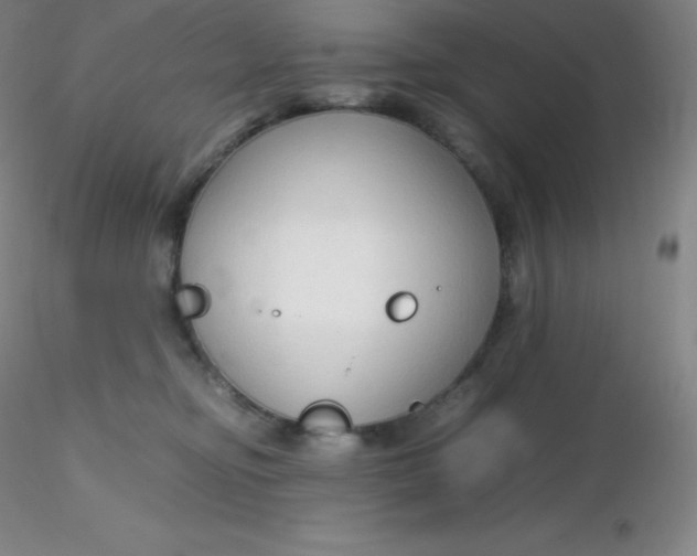 X0000116310374200912211927