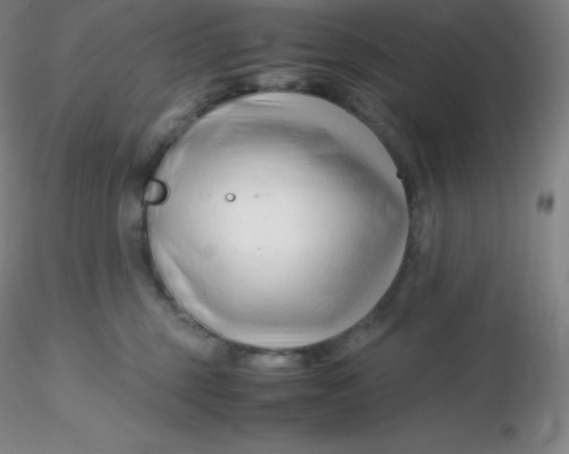 X0000116310375200912211927