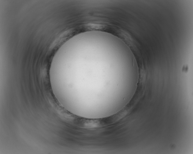 X0000116310377200912211928