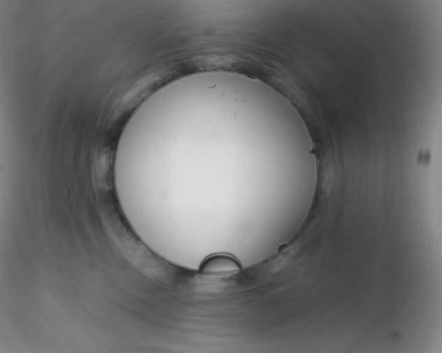 X0000116310378200912211928