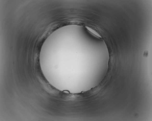 X0000116310379200912211928