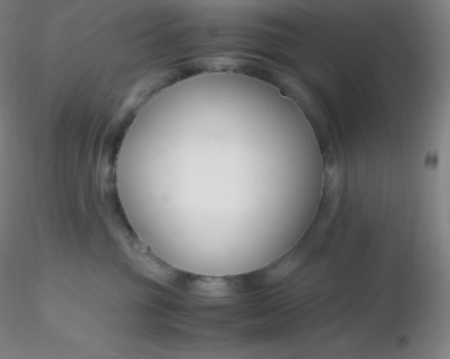 X0000116310381200912211928