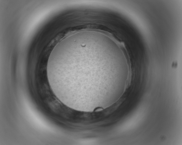 X0000116310383200912211928