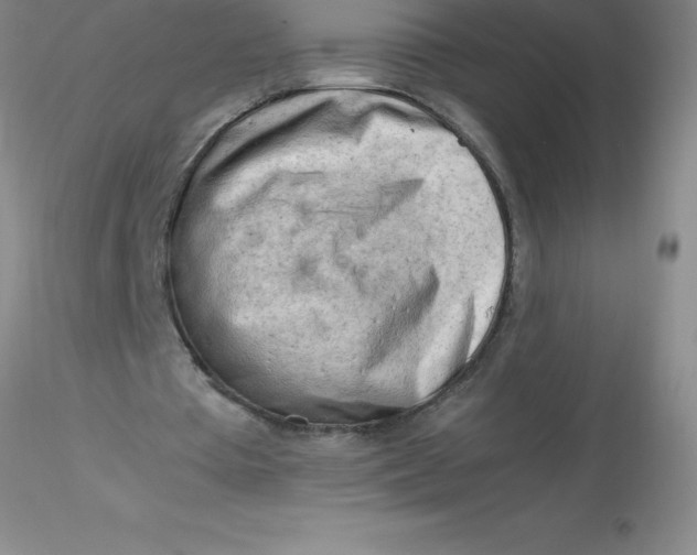 X0000116310385200912211927