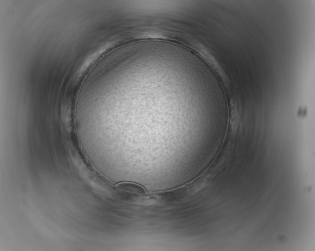 X0000116310386200912211927