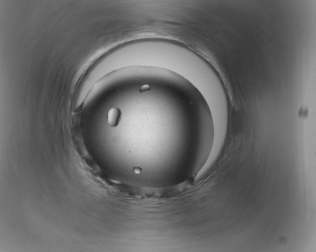 X0000116310387200912211927