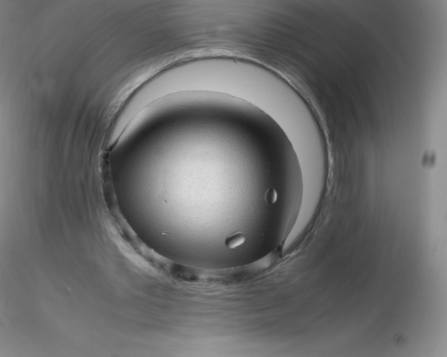 X0000116310389200912211927