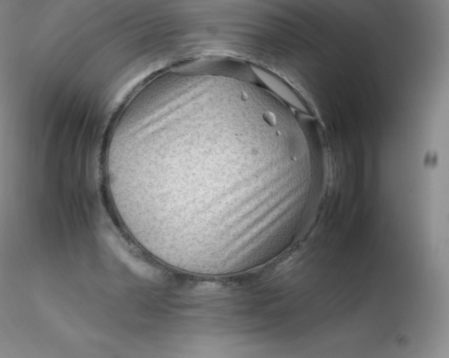 X0000116310390200912211927