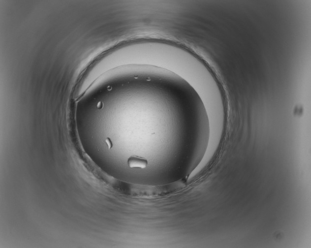 X0000116310391200912211927