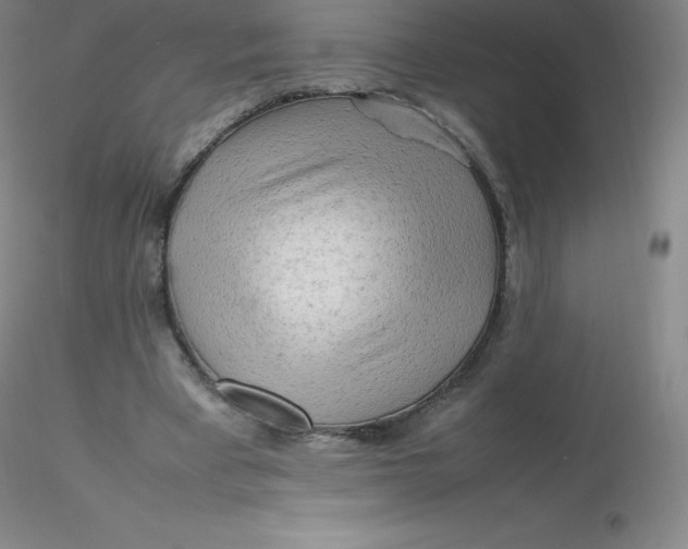 X0000116310393200912211927