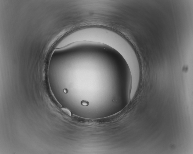 X0000116310395200912211927