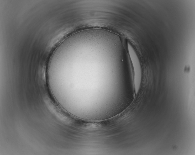 X0000116310398200912211927