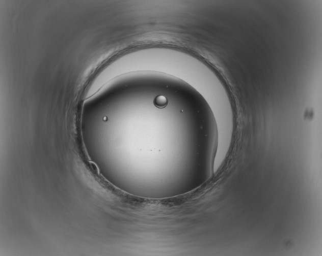 X0000116310399200912211927