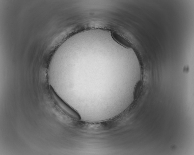 X0000116310401200912211927