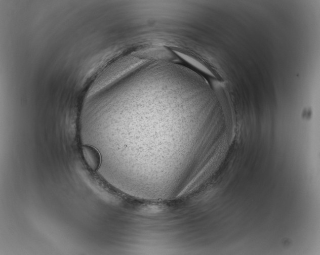 X0000116310402200912211927