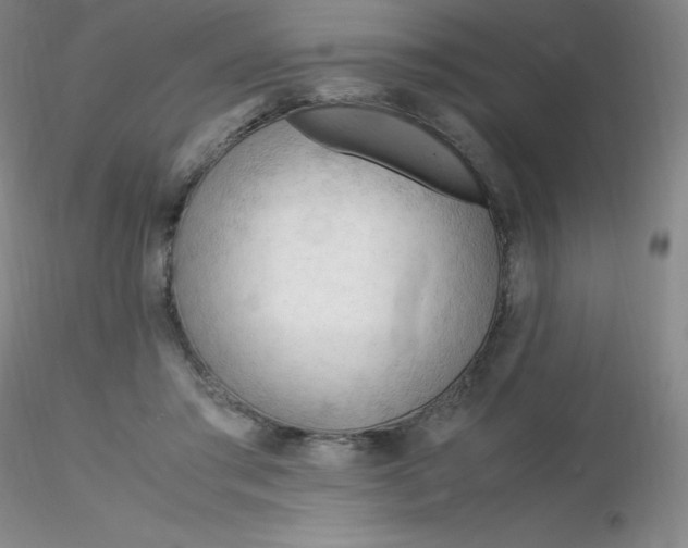 X0000116310405200912211927