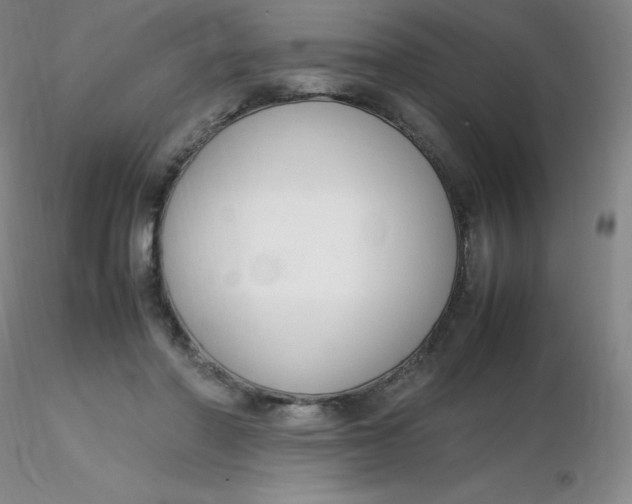 X0000116310406200912211927